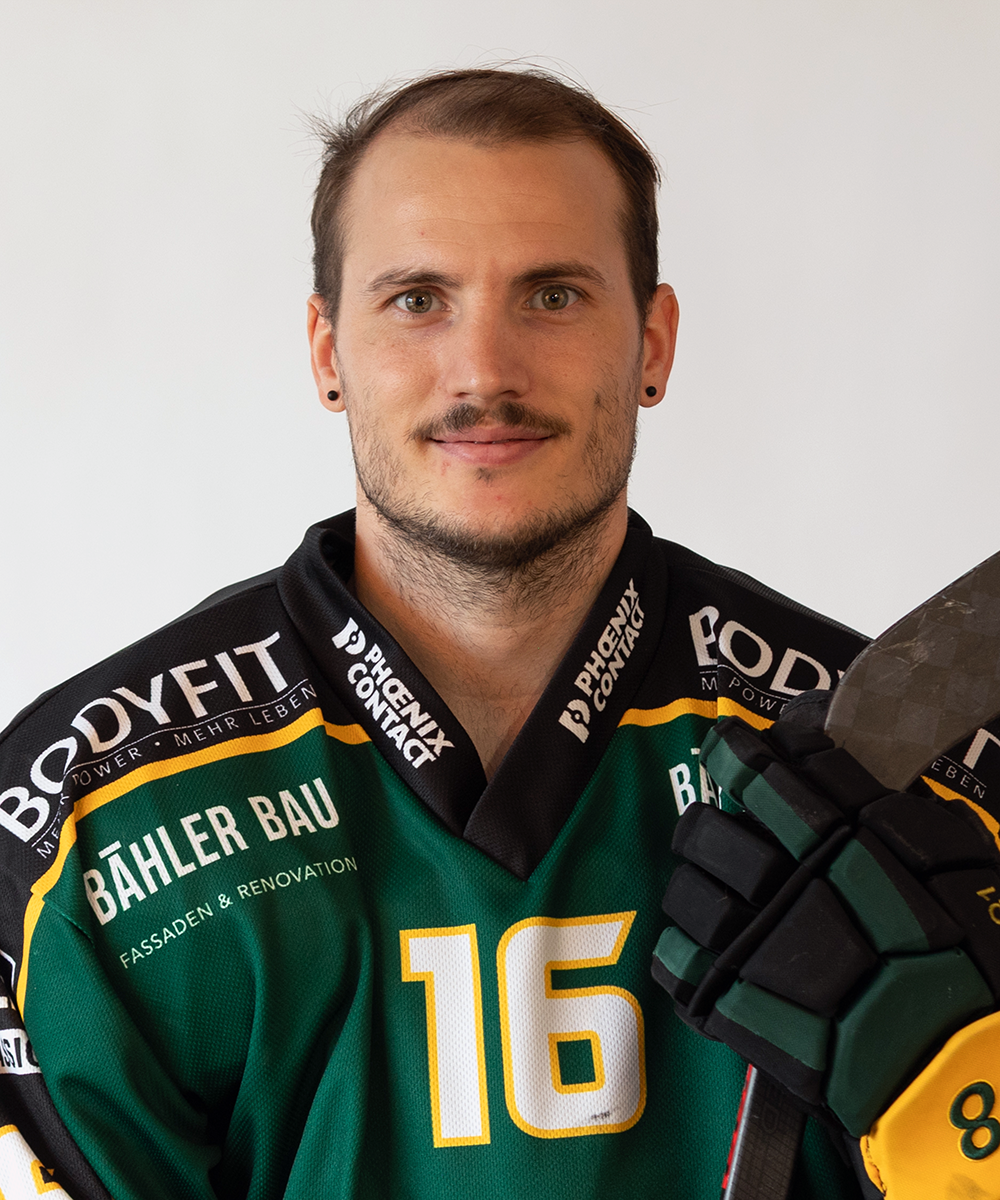 Reinmann Robin